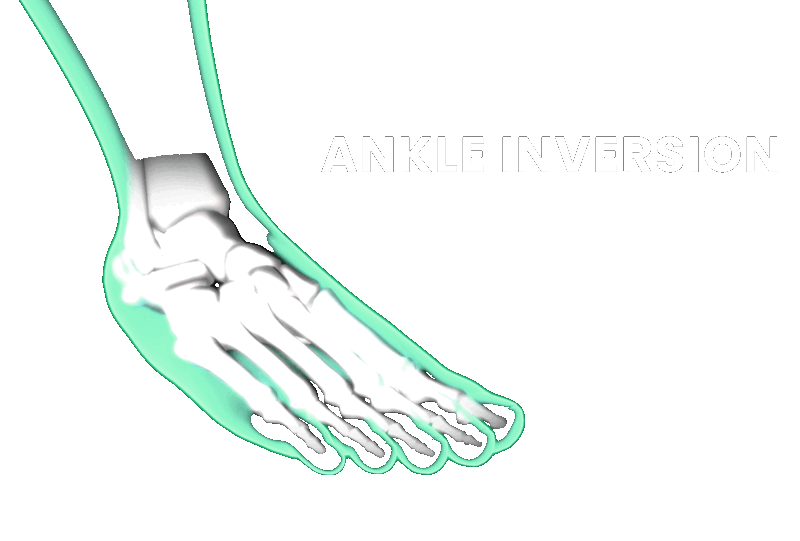 ankle inversion eversion