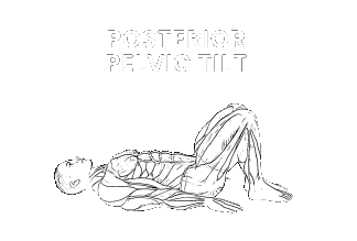 anterior posterior pelvic tilt