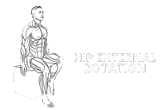 hip internal external rotation