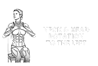 neck rotation