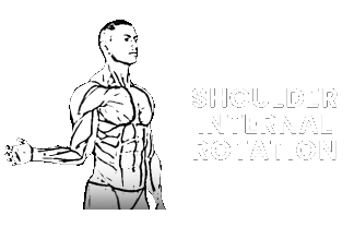 shoulder external internal rotation