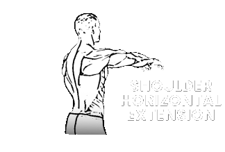 shoulder horizontal flexion extension