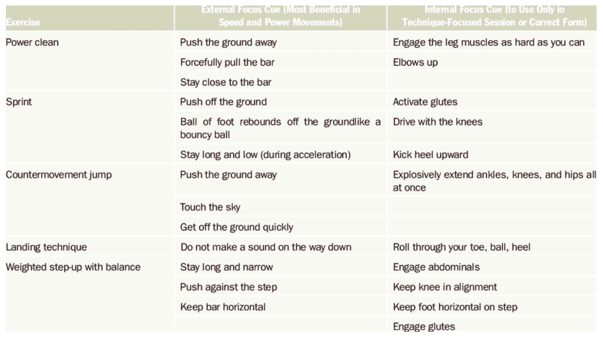 internal and external cues