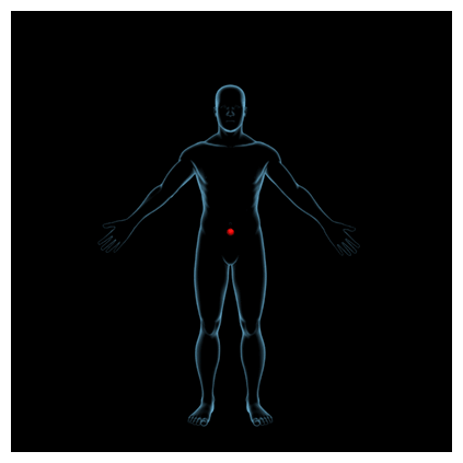 center of mass migration from the front of the body