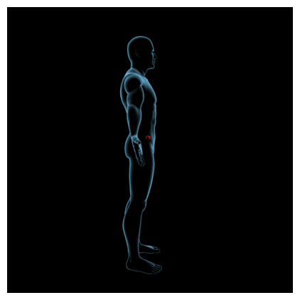 center of mass migration from the side of the body