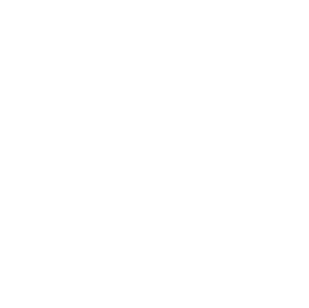 main supplementary accessory exercises
