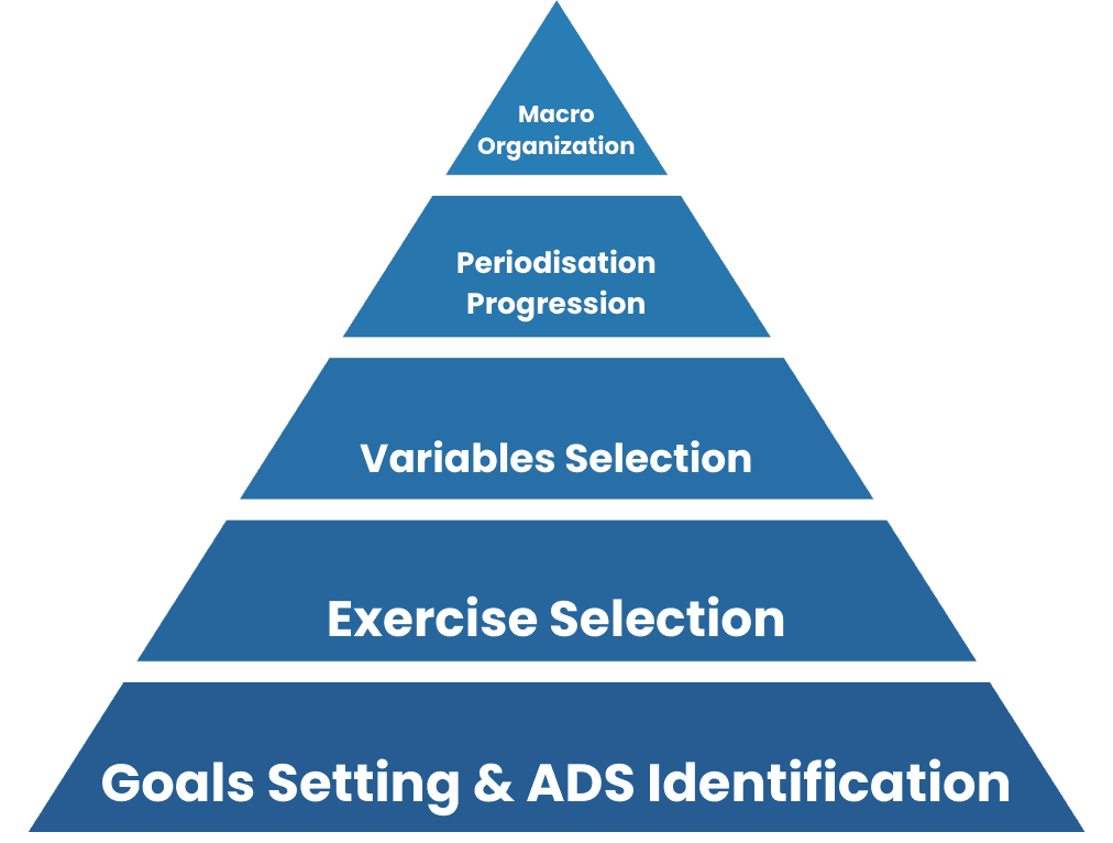 calisthenics programming hierarchy