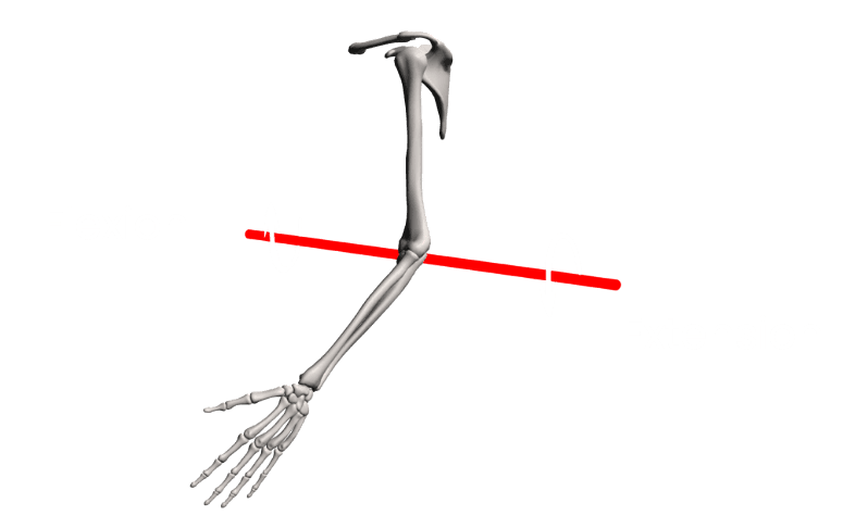 elbow flexion and extension