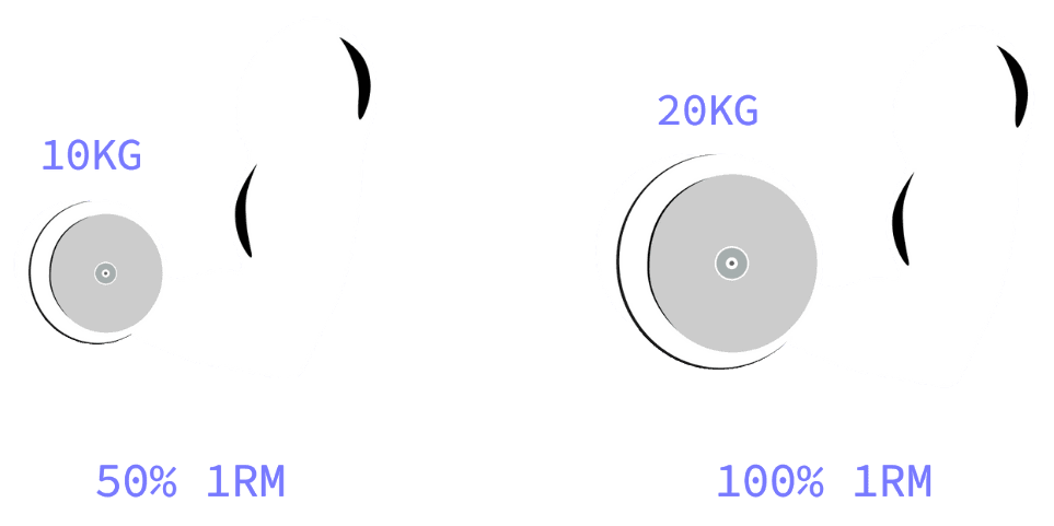 absolute load calisthenics