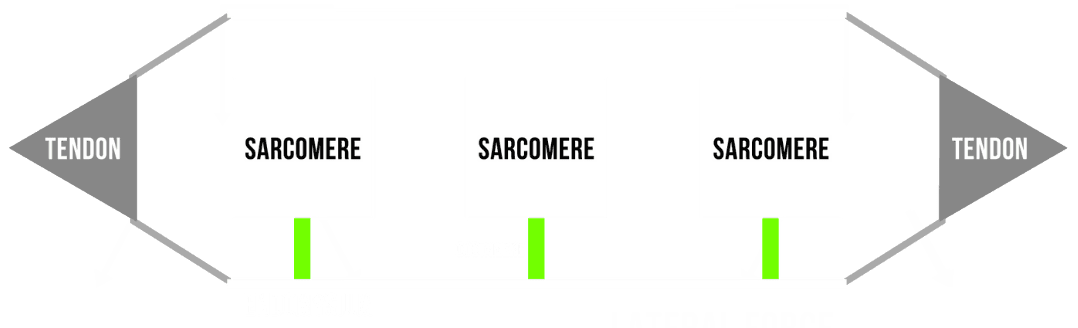 lateral force transmission