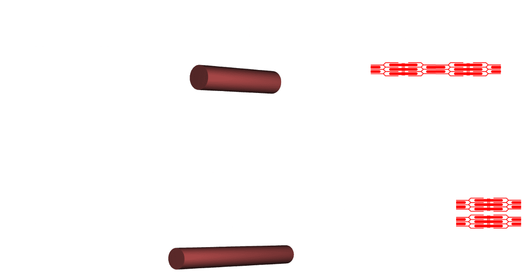 longitudinal hypertrophy