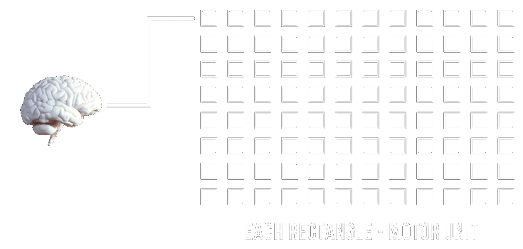 motor unit recruitment