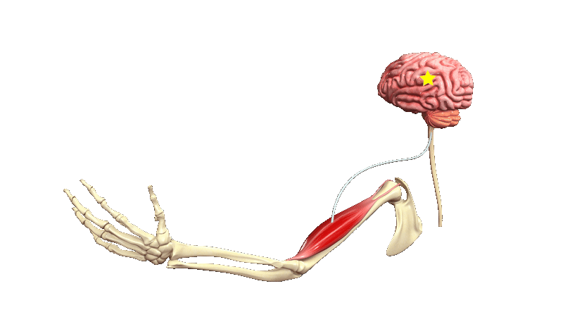 transfer of electronic signal