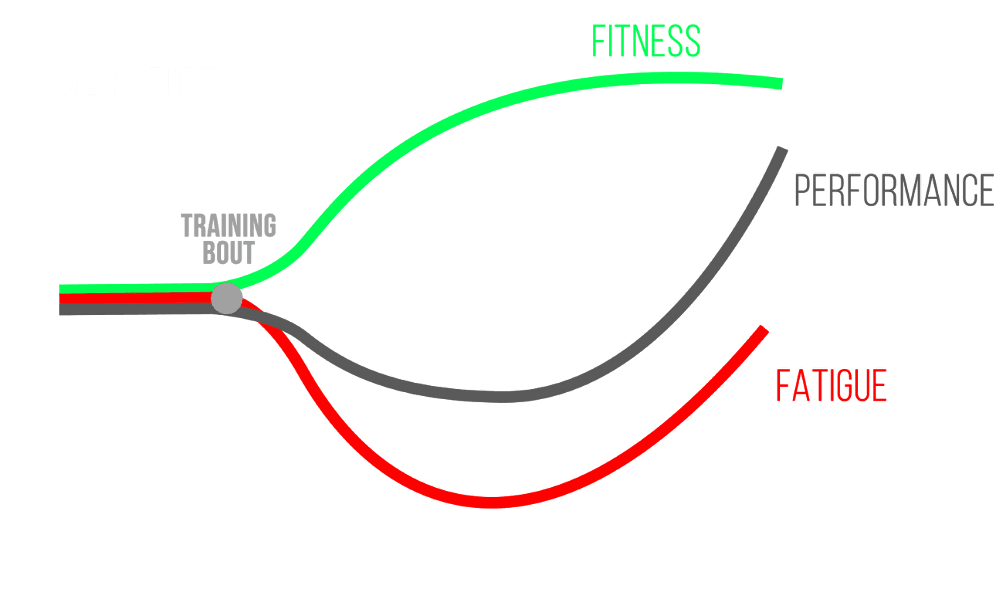 fitness fatigue model